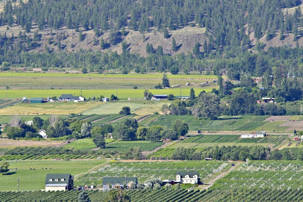 Crowsnest Vineyards Guesthouse Keremeos Exterior photo