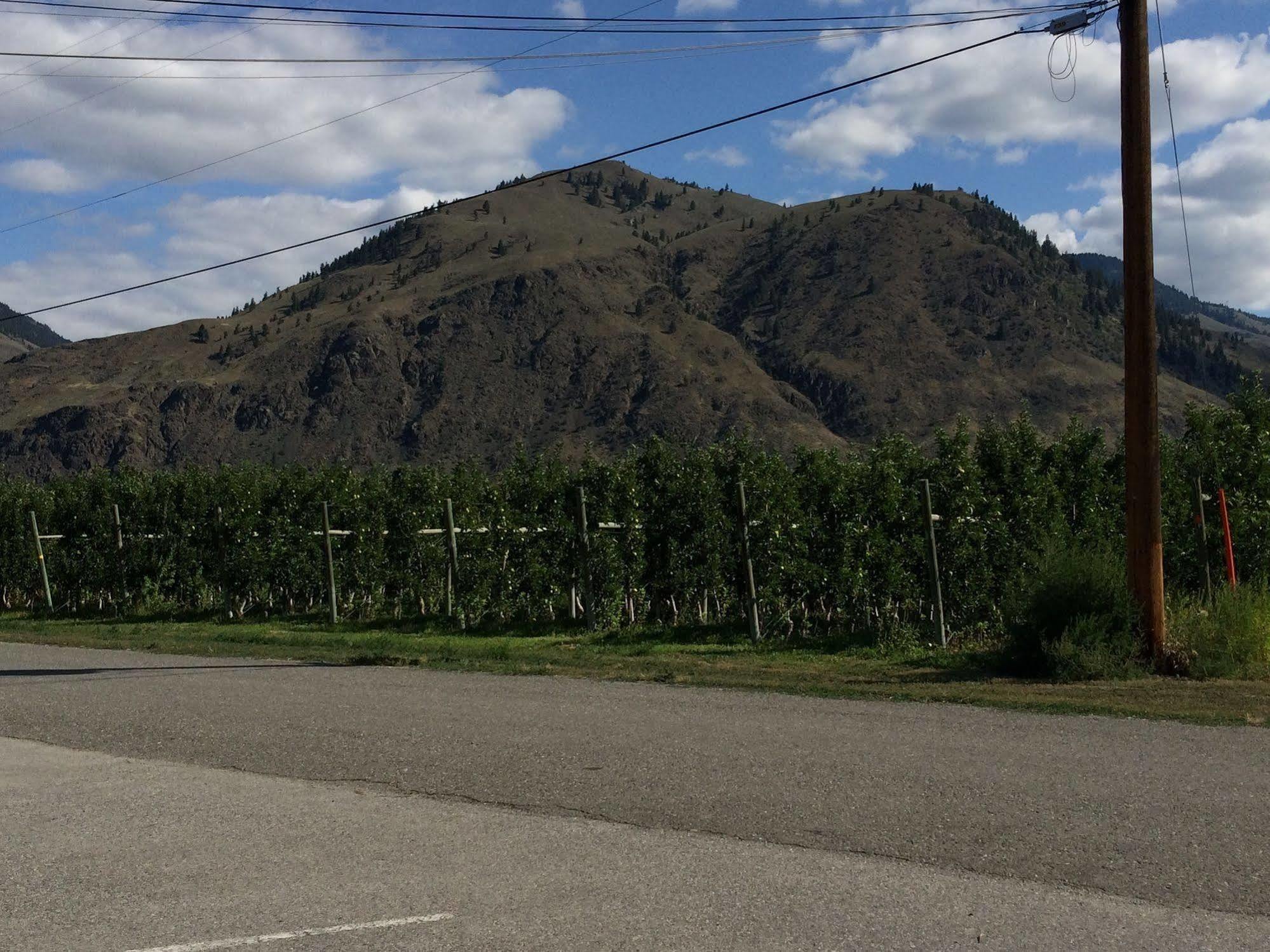 Crowsnest Vineyards Guesthouse Keremeos Exterior photo