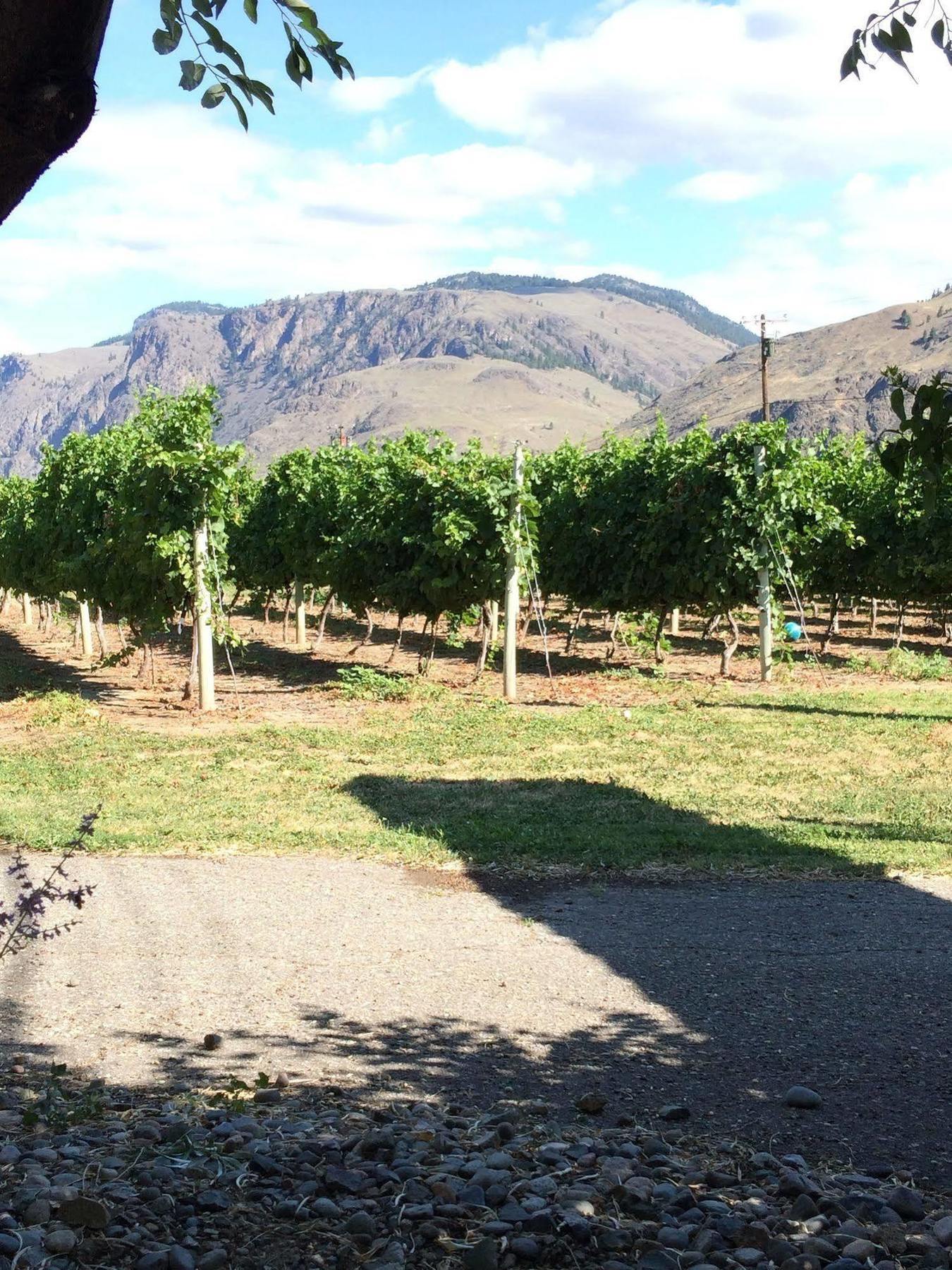 Crowsnest Vineyards Guesthouse Keremeos Exterior photo